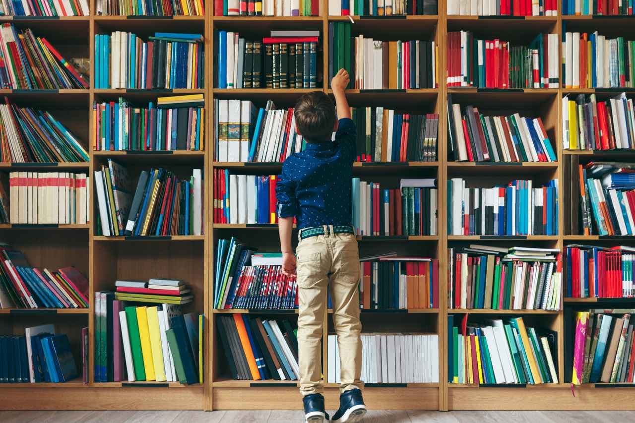 アメリカでは学校の図書館からSTEAM教育が広がっている？！【（先生ではなく）図書館員がSTEAMを学校に導入】
