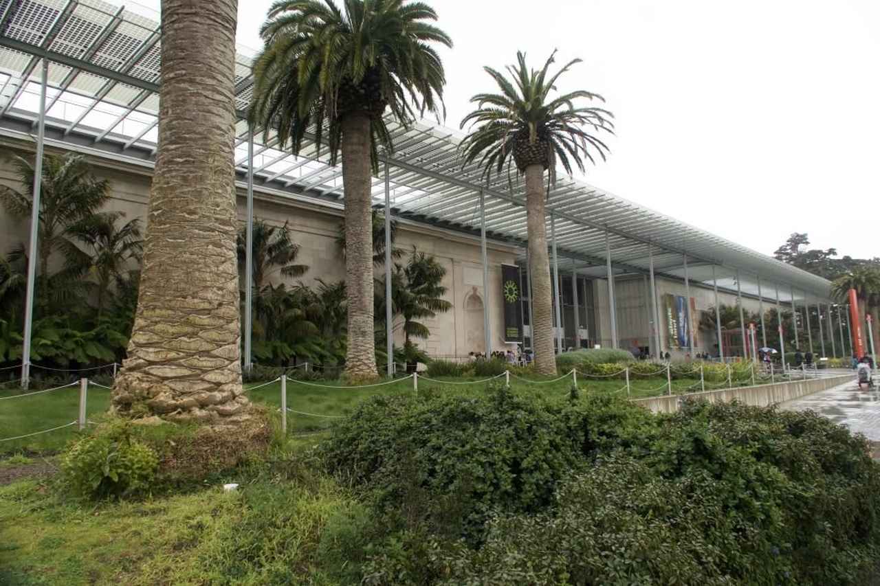160年以上の歴史をもつ世界最大級の自然史博物館：カリフォルニア科学アカデミー【日本と世界のサイエンスミュージアム】